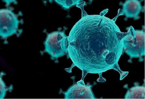 新冠源头爆料视频 第3张 新冠源头爆料视频 第3张