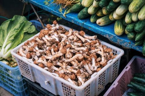 芒市吃瓜最新事件爆料,揭秘背后惊人真相  第3张